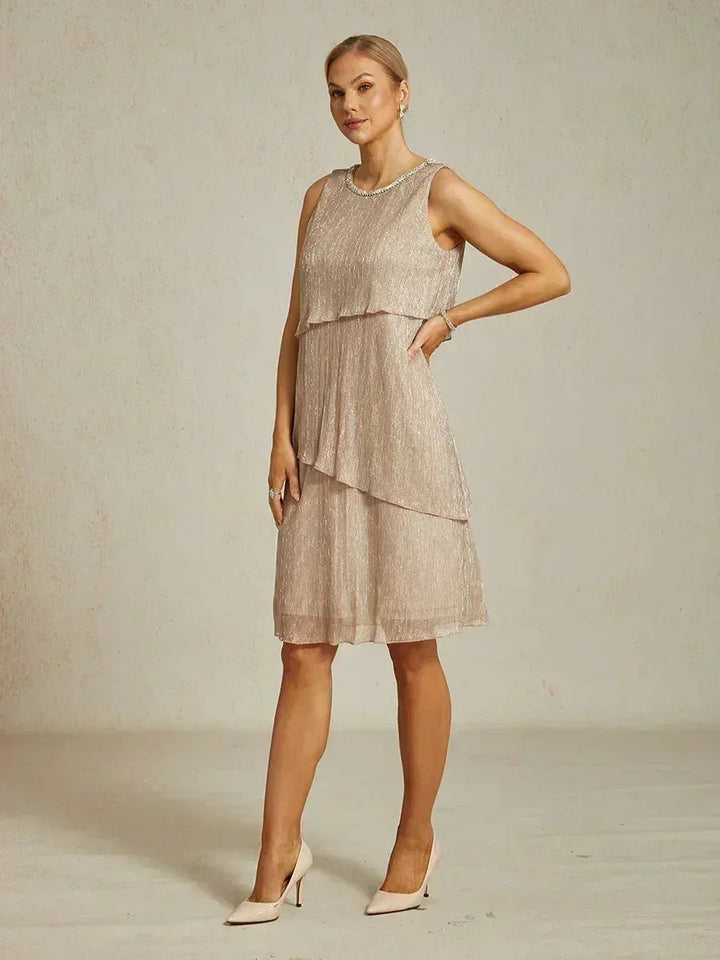 Metallic Pleated Chiffon Long Jacket Dress